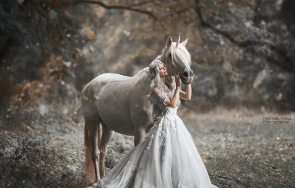 Картинка девушка, поза, лошадь, платье, Marketa Novak, Bаra Markovа