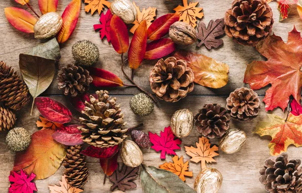Картинка осень, листья, фон, дерево, colorful, орехи, шишки, wood