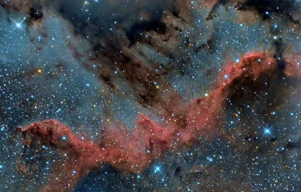 Космос, Туманность, Северная Америка, NGC7000