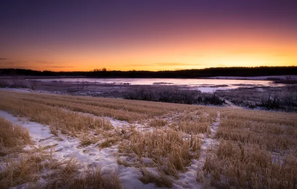 Картинка поле, осень, снег, закат