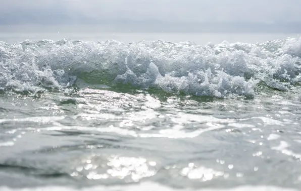 Море, лето, макро, счастье, волна