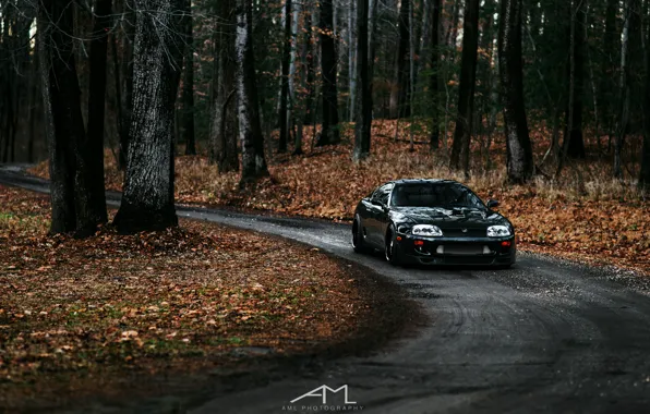 Toyota, Supra, JDM