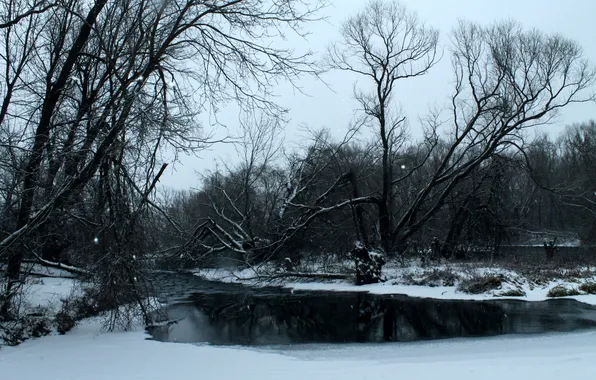 Картинка зима, лес, снег, деревья, река