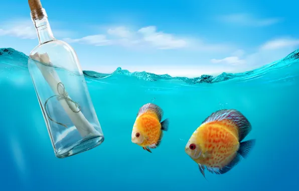 Картинка море, письмо, рыбки, океан, бутылка, underwater, sea, message