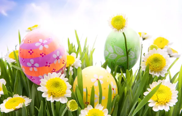 Картинка трава, цветы, ромашки, яйца, весна, пасха, grass, sunshine