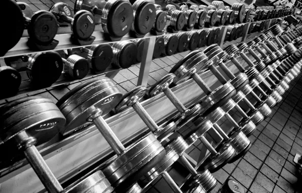 Fitness, Gym, Dumbells