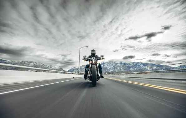 Road, harley davidson, motorbike