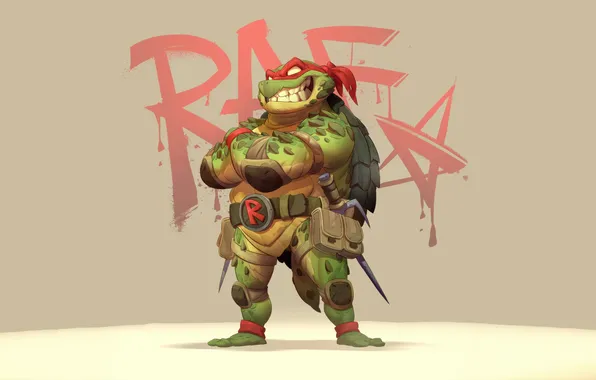 Raphael, teenage mutant ninja turtles, TMNT