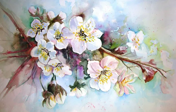 Картинка рисунок, картина, акварель, живопись, яблоневый цвет, цветы весны, неизвестный автор