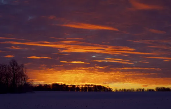 Картинка зима, небо, облака, снег, деревья, закат, оранжевый, яркий