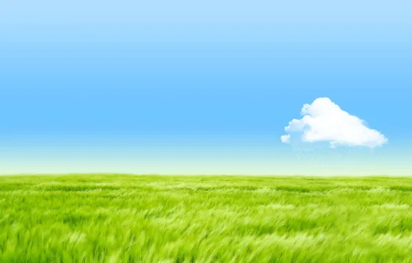 Картинка поле, небо, трава, облако