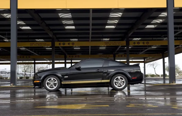 Mustang, Shelby, GT500