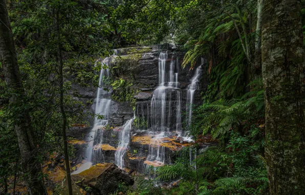 Картинка Природа, Деревья, Скала, Австралия, Парк, Водопады, National Park, фото.jpg