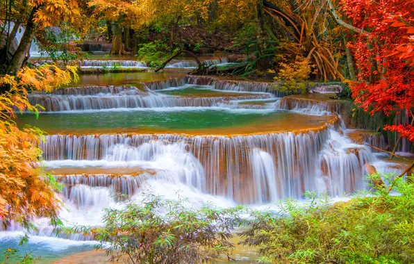 Картинка осень, лес, листья, деревья, водопад, красота, Таиланд, кусты
