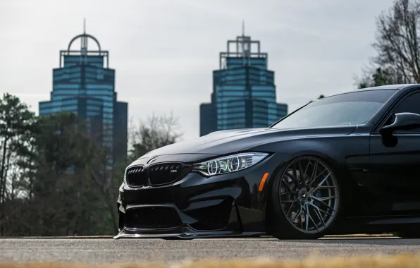 BMW, Black, Sight, F81