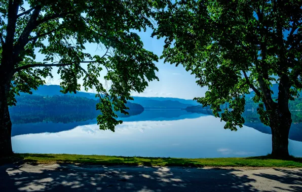 Картинка дорога, деревья, озеро, Норвегия, Norway, Heddalsvatnet Lake, Telemark, Телемарк