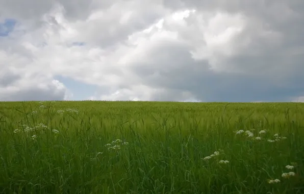 Картинка облака, зеленый, Поле
