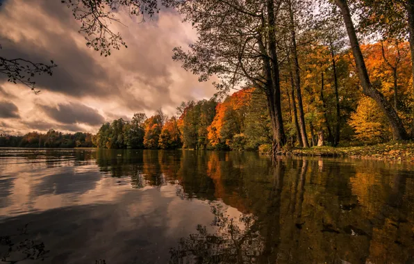 Осень, озеро, Польша, Lake Hancza