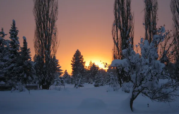 Winter, Frost, Sunset, Snow