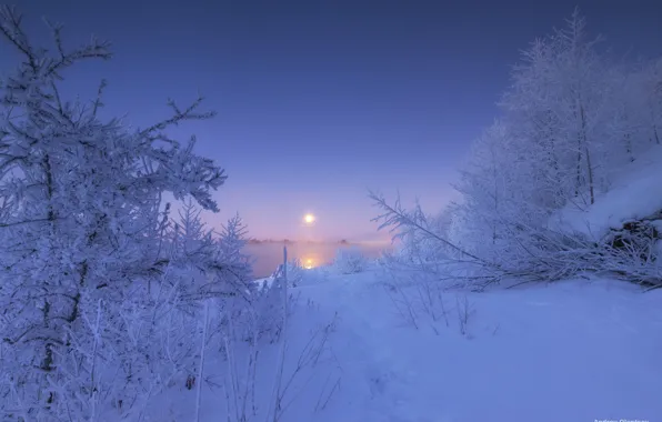 Картинка зима, снег, деревья, река, рассвет, утро, сугробы, Россия