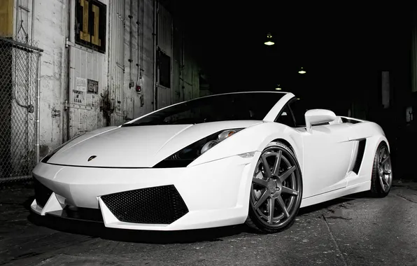 Белый, Lamborghini, white, родстер, Gallardo, ламборджини, галардо
