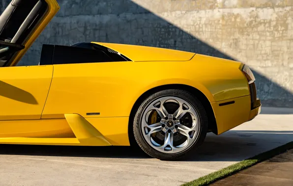Желтый, Lamborghini, ламбо, Murcielago, крупным планом, Lamborghini Murcielago Roadster