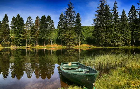 Картинка лес, лето, деревья, отражение, река, лодка