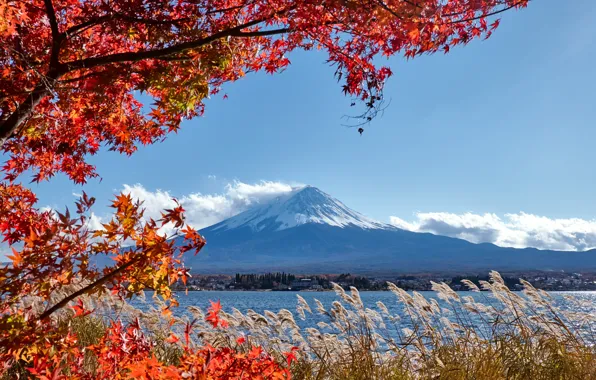 Осень, небо, листья, colorful, Япония, Japan, red, клен