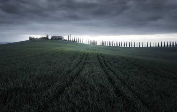 Поле, природа, Tuscany