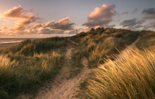 Песок, море, трава, облака, берег, обработка, Winterton Light