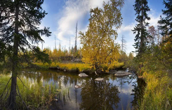 Картинка осень, заполярье, мончегорск