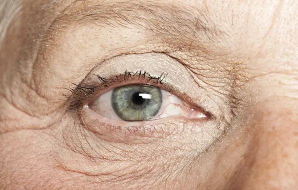 Картинка eye, wrinkles, grandmother, elderly