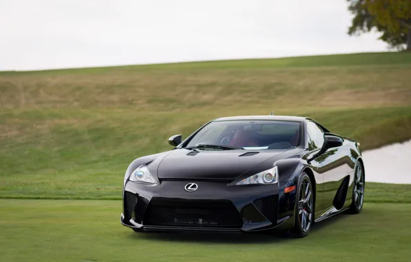 Car, Lexus, black, super, lfa, lawn