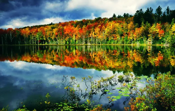 Осень, лес, небо, облака, озеро