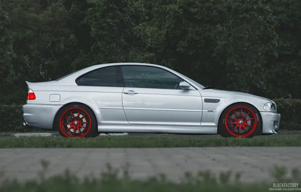 Лес, асфальт, бмв, BMW, серая, E46