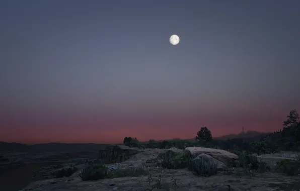 HDR, Moon, Game, Evening, Desert, Moonshine, UHD, Red Dead Redemption 2
