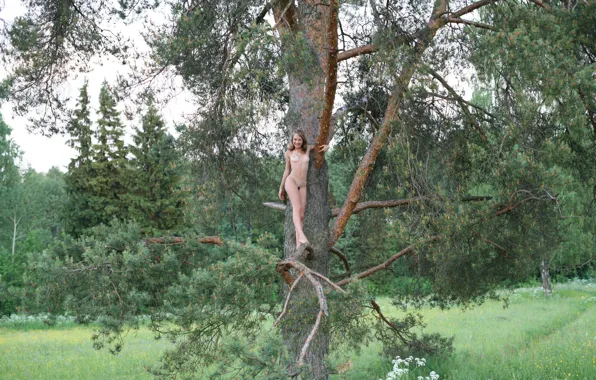 Girl, grass, sexy, forest, erect nipples, long hair, legs, trees