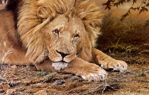 Картинка трава, взгляд, морда, рисунок, портрет, картина, лев, лапы