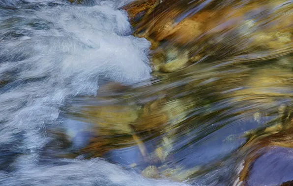 Картинка вода, река, ручей, поток