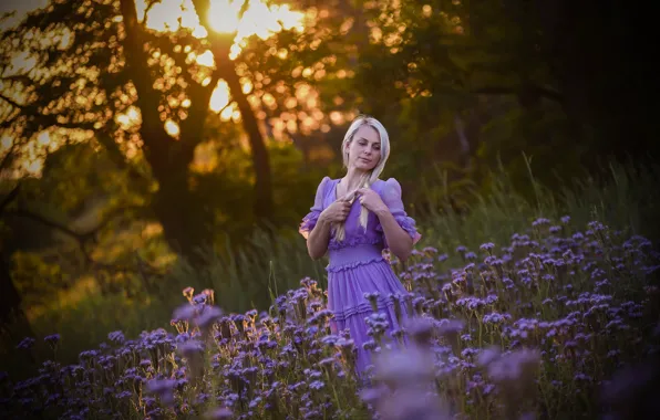 Картинка лето, девушка, природа