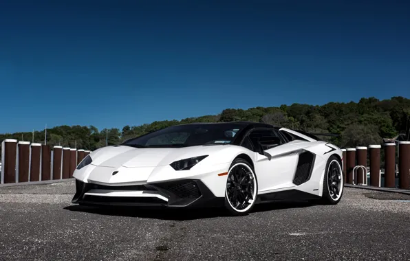 Lamborghini, Black, Aventador, Satin, HRE, whit, S201