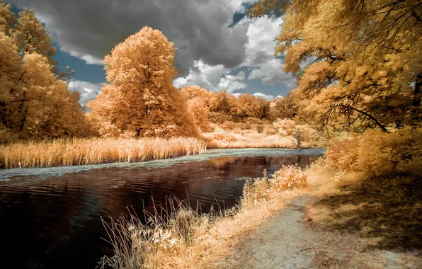 Осень, природа, река