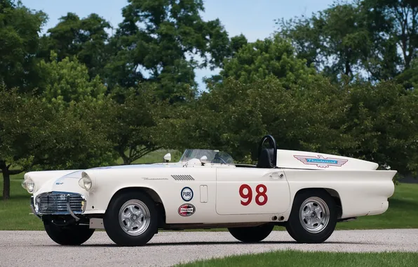 Car, Race, 1957, Thunderbird, Experimental