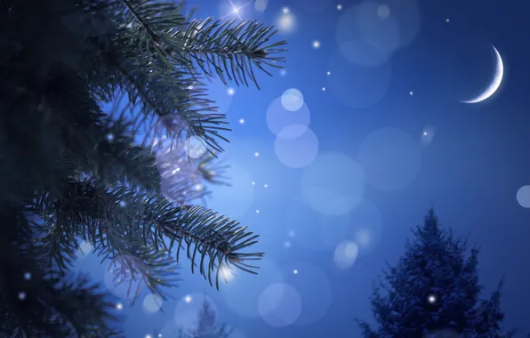Картинка ночь, иголки, елка, ель, ветка, месяц, Новый Год, Рождество