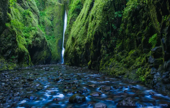 Картинка река, камни, скалы, водопад, мох, Орегон, ущелье, Oregon