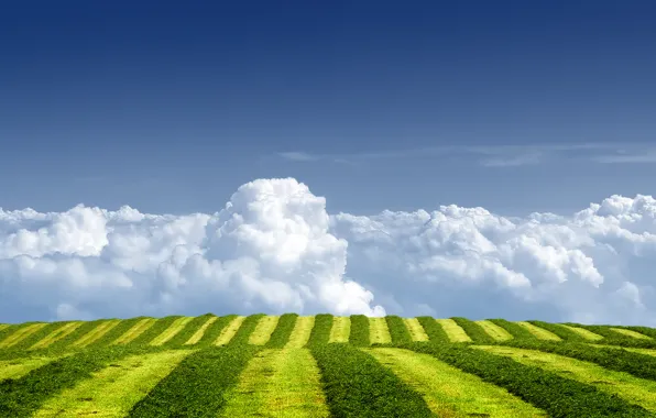 Картинка поле, лето, небо, трава, облака