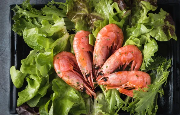 Зелень, салат, креветки, морепродукты