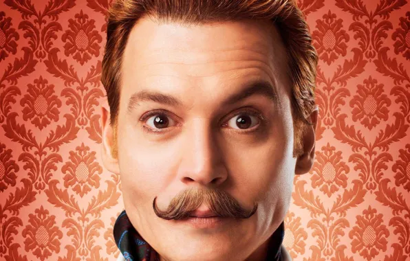 Johnny Depp, cinema, wallpaper, brown hair, brown eyes, eyes, man, movie