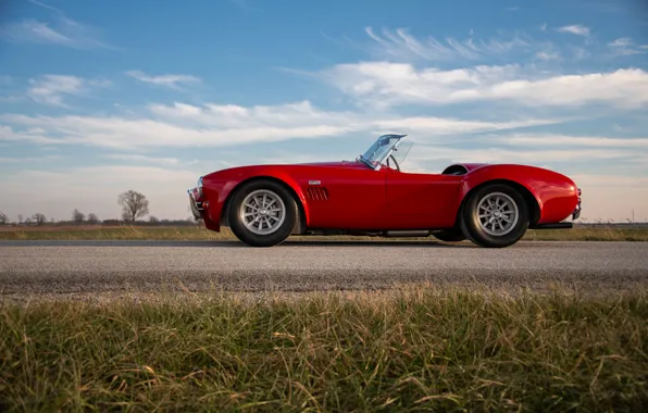 Shelby, Cobra, 1966, side view, Shelby Cobra 427