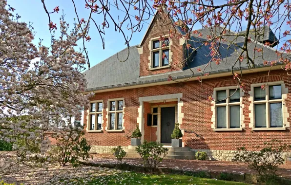Картинка House, Grass, Spring, Belgium, Building, Magnolia, Garden, Architecture